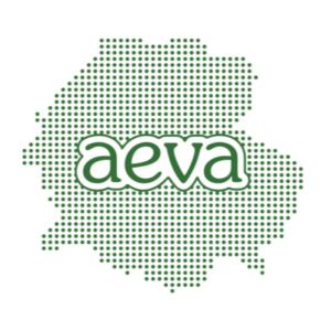logo sin letras